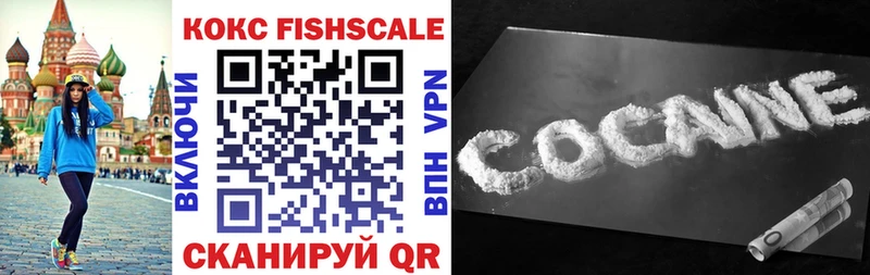 купить наркотики сайты  Задонск  COCAIN Fish Scale 