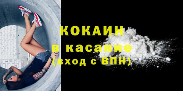 дмт Нея