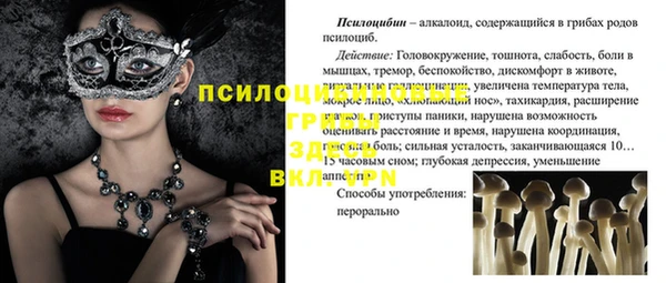 дмт Нефтегорск