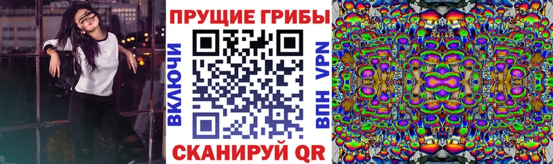 kraken   Задонск  Галлюциногенные грибы GOLDEN TEACHER 